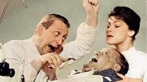 1962 | Die türkischen Gurken