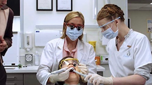 2010-2011 | Spirited